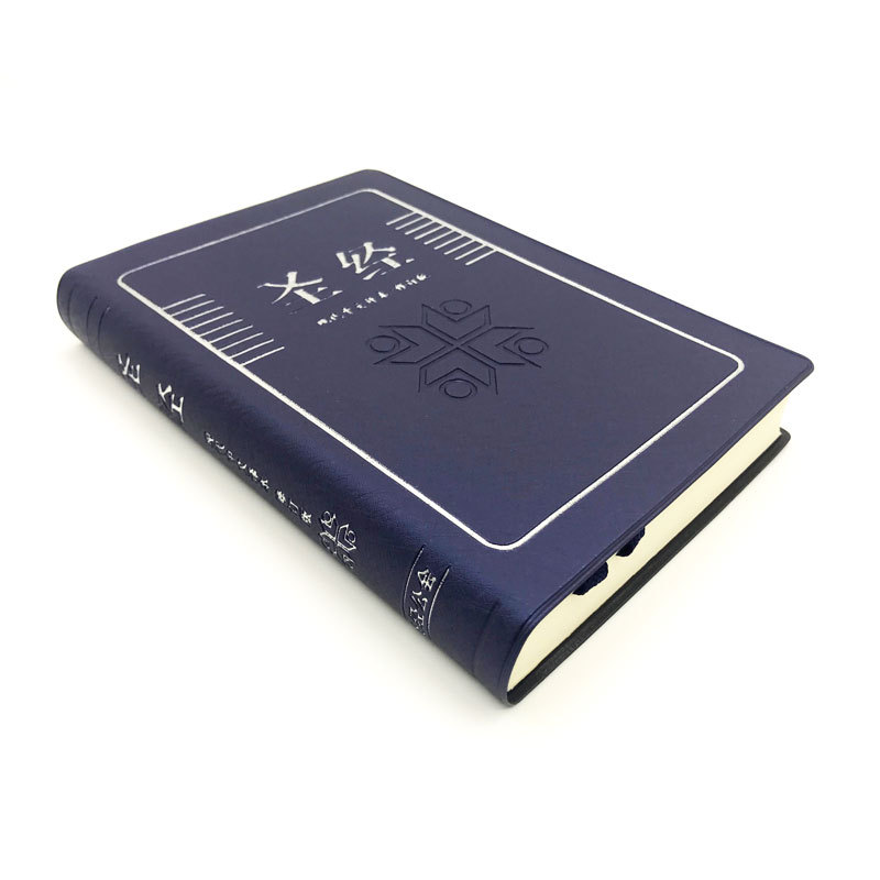 TCVSS62PPL Todays Chi Version PV Blue