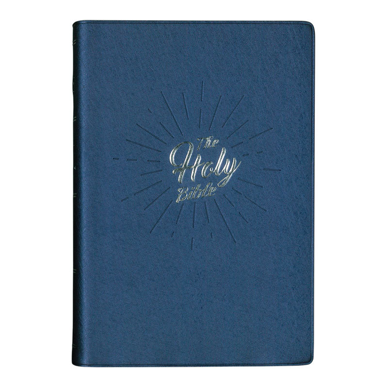 NIV72PL Large Print Blue