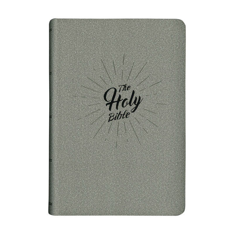 NIV75 Large Print Silver
