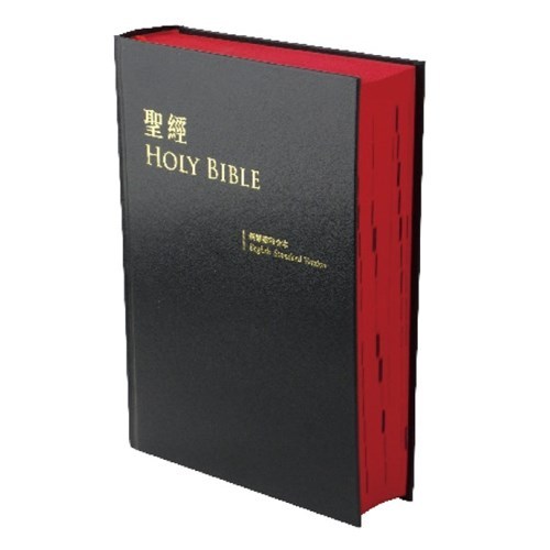 ESV/CUNP63DI