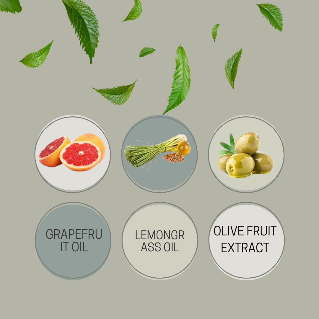 Body Milk 210g/7.4 wt oz