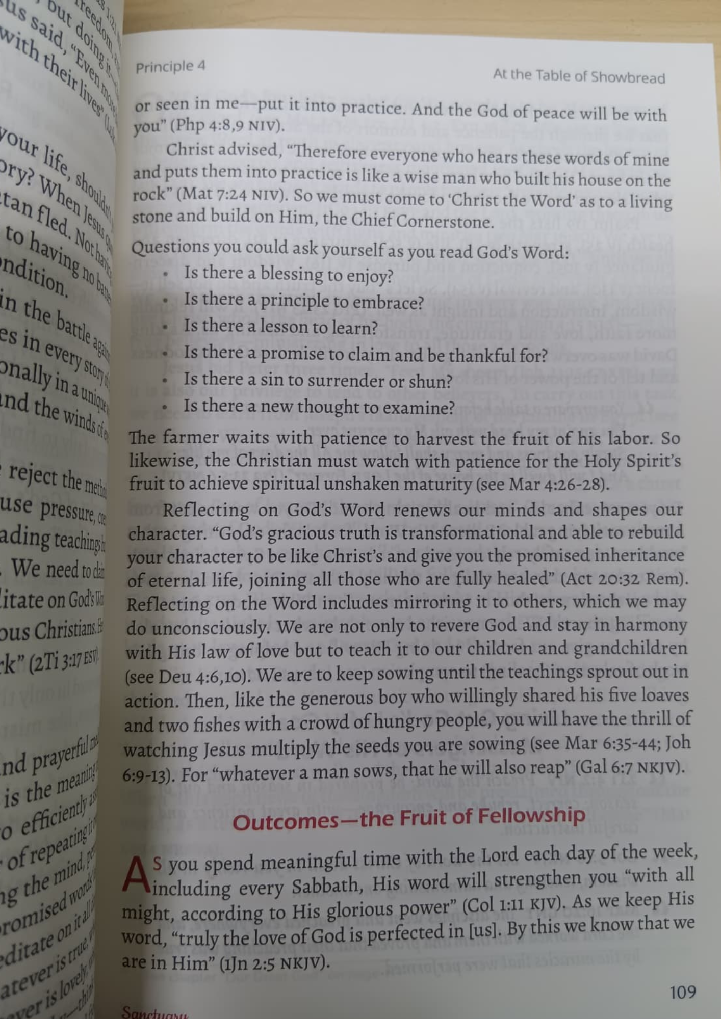 Sanctuary: 10 Significant Principles To Truth, Love and Joy revealed in the Sanctuary Master Plan By Belinda C.H. Sim