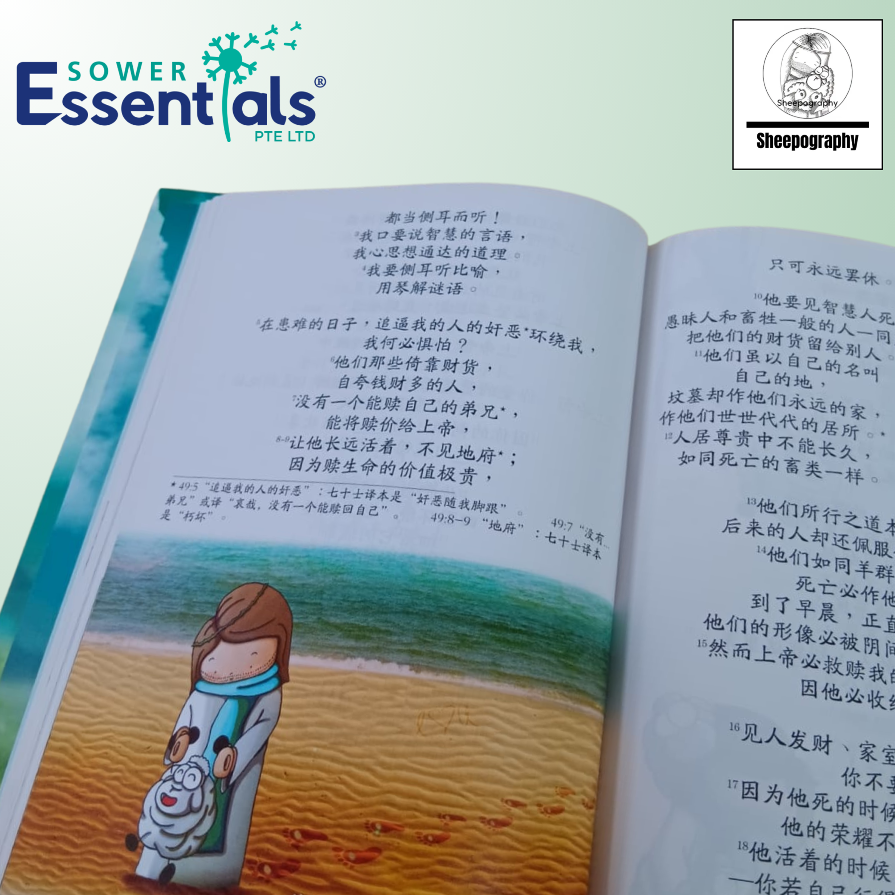 Sheepography - Psalms of the Shepherd King (Chinese) Hardcover