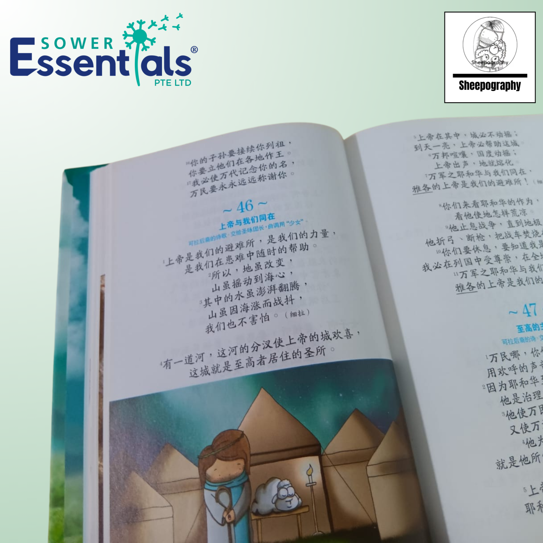 Sheepography - Psalms of the Shepherd King (Chinese) Hardcover