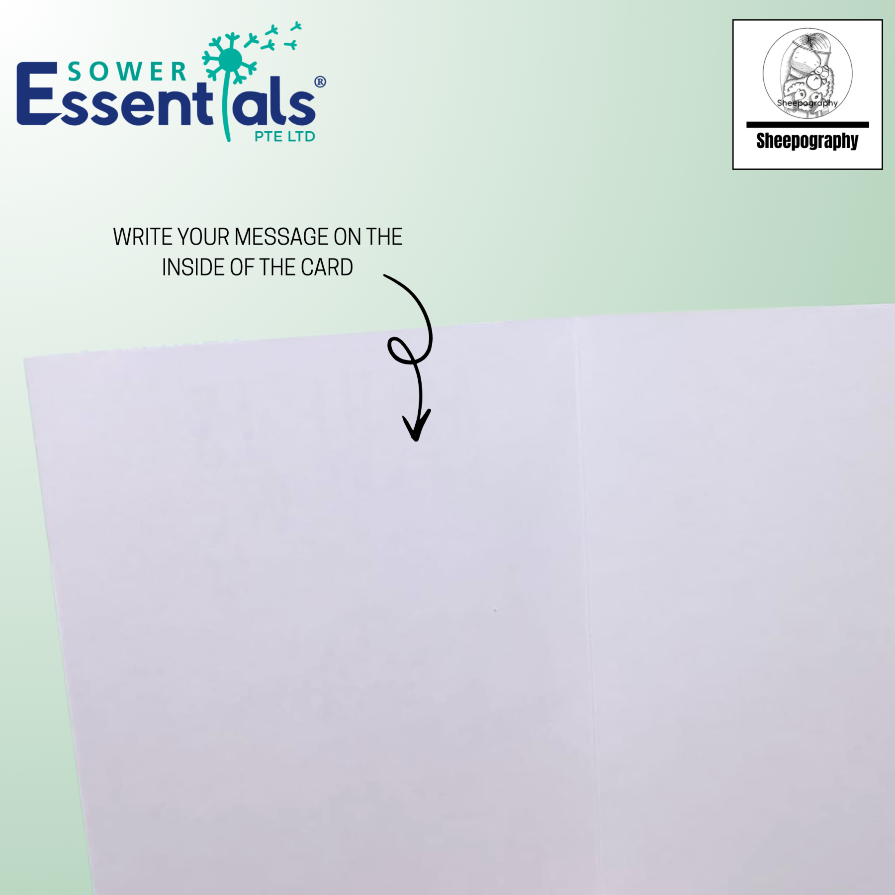 Sheepography Cards - Set of 7 pcs