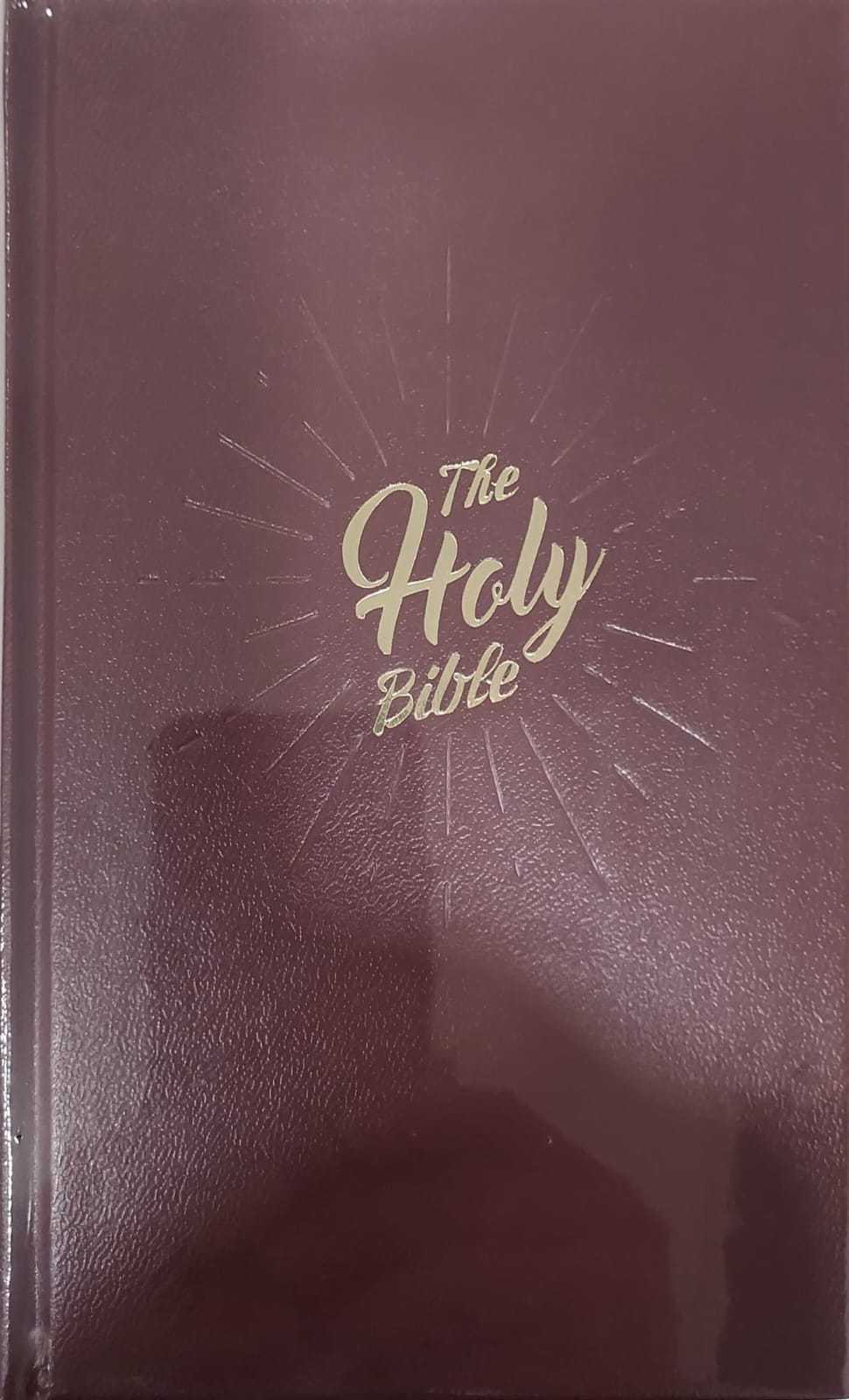 NIV53 Hardcover Burgundy