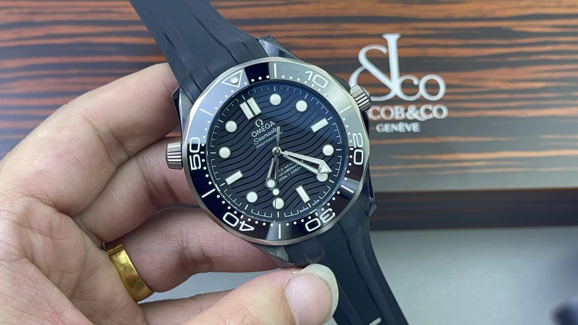 OMEGA欧米茄 海马系列