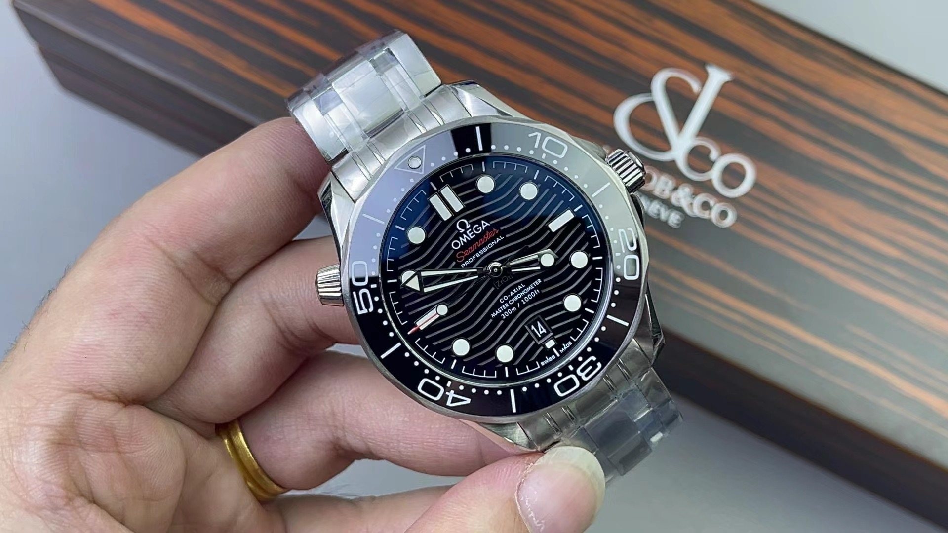 OMEGA欧米茄 海马系列