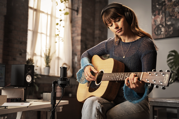 Shure SM4 Home Recording Microphone