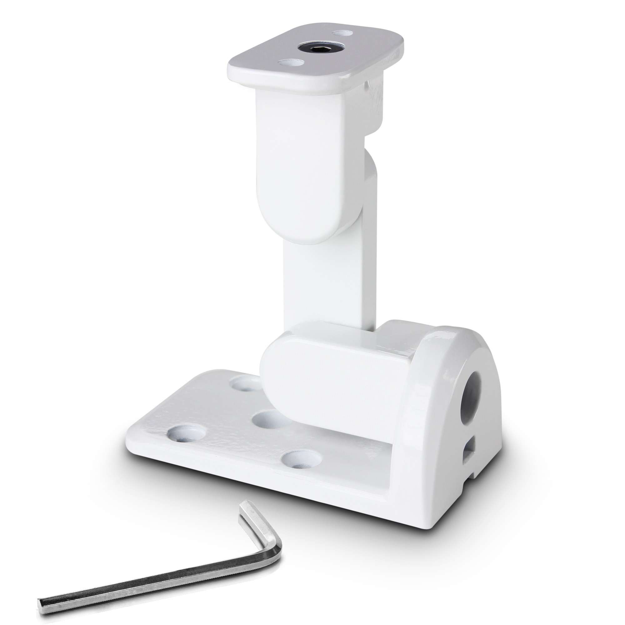 LD Systems CURV 500 WMB W