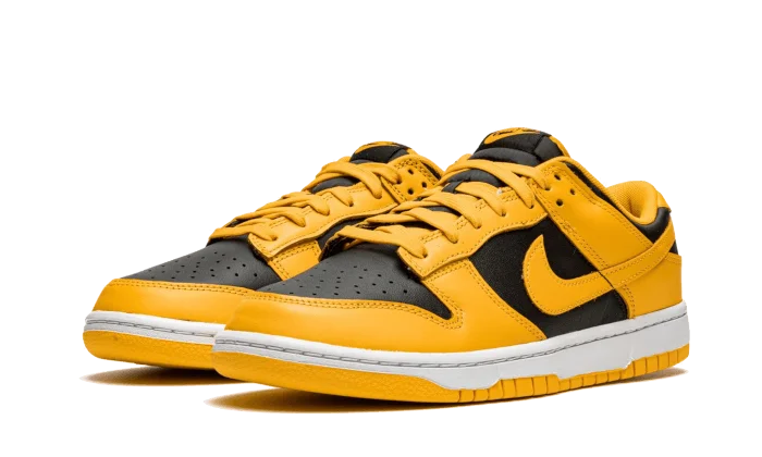 ナイキ｜NIKE Goldenrod-高島屋オンラインストア - 公式
