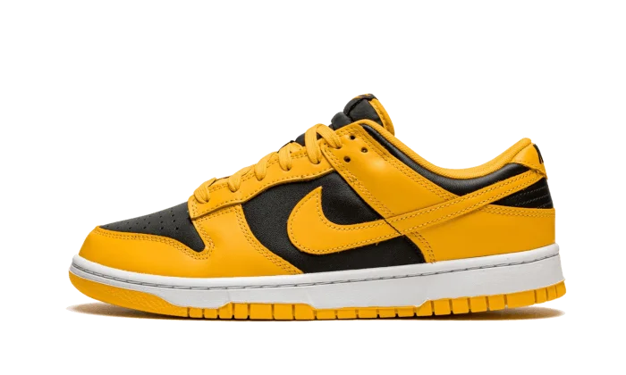ナイキ｜NIKE Goldenrod-高島屋オンラインストア - 公式