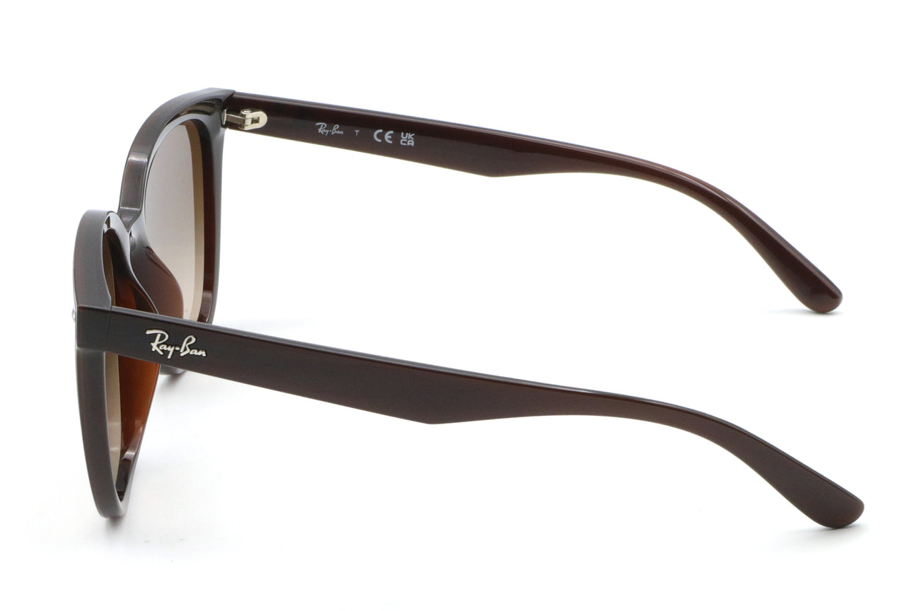 Ray-Ban(レイバン) RB 4423D-714/13ブラウン(66)