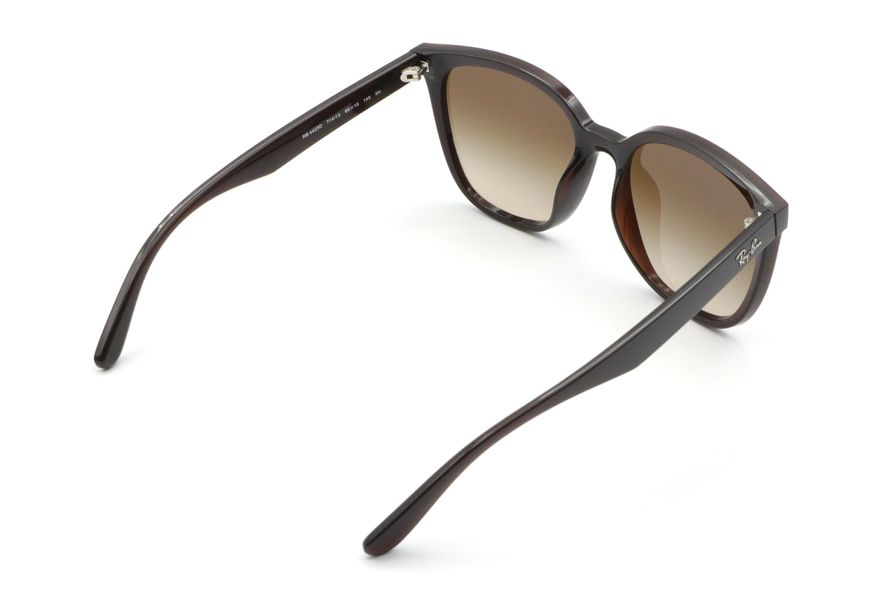 Ray-Ban(レイバン) RB 4423D-714/13ブラウン(66)