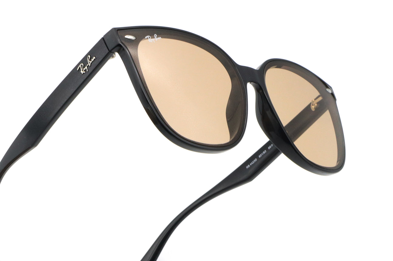 Ray-Ban(レイバン) RB 4423D-601/93ブラック(66)