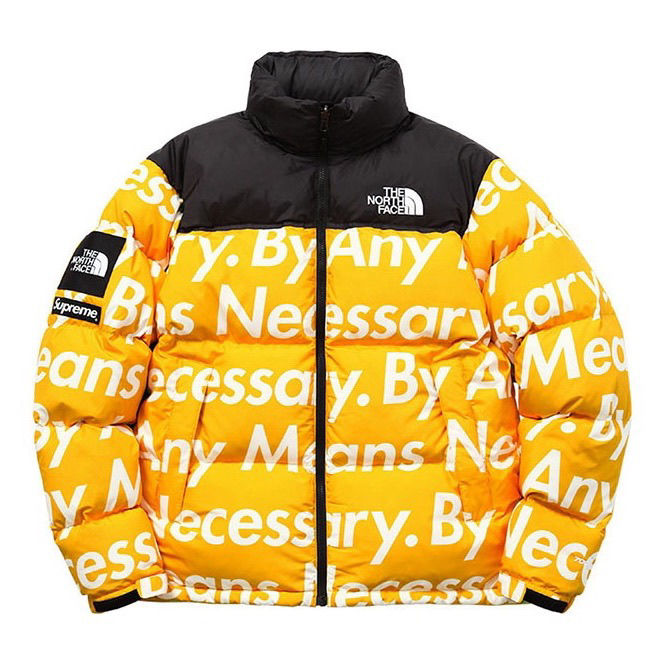 【The North Face × Supreme】【全国送料無料】【即日出荷】数量限定発売 ダウンジャケット