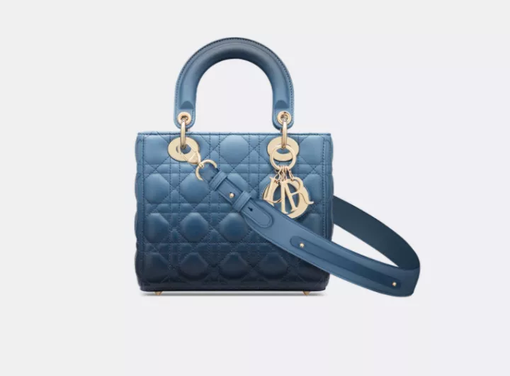 日本未入荷*新作LADY CD MY ABCCD インディゴブルー バッグ-高島屋オンラインストア - 公式