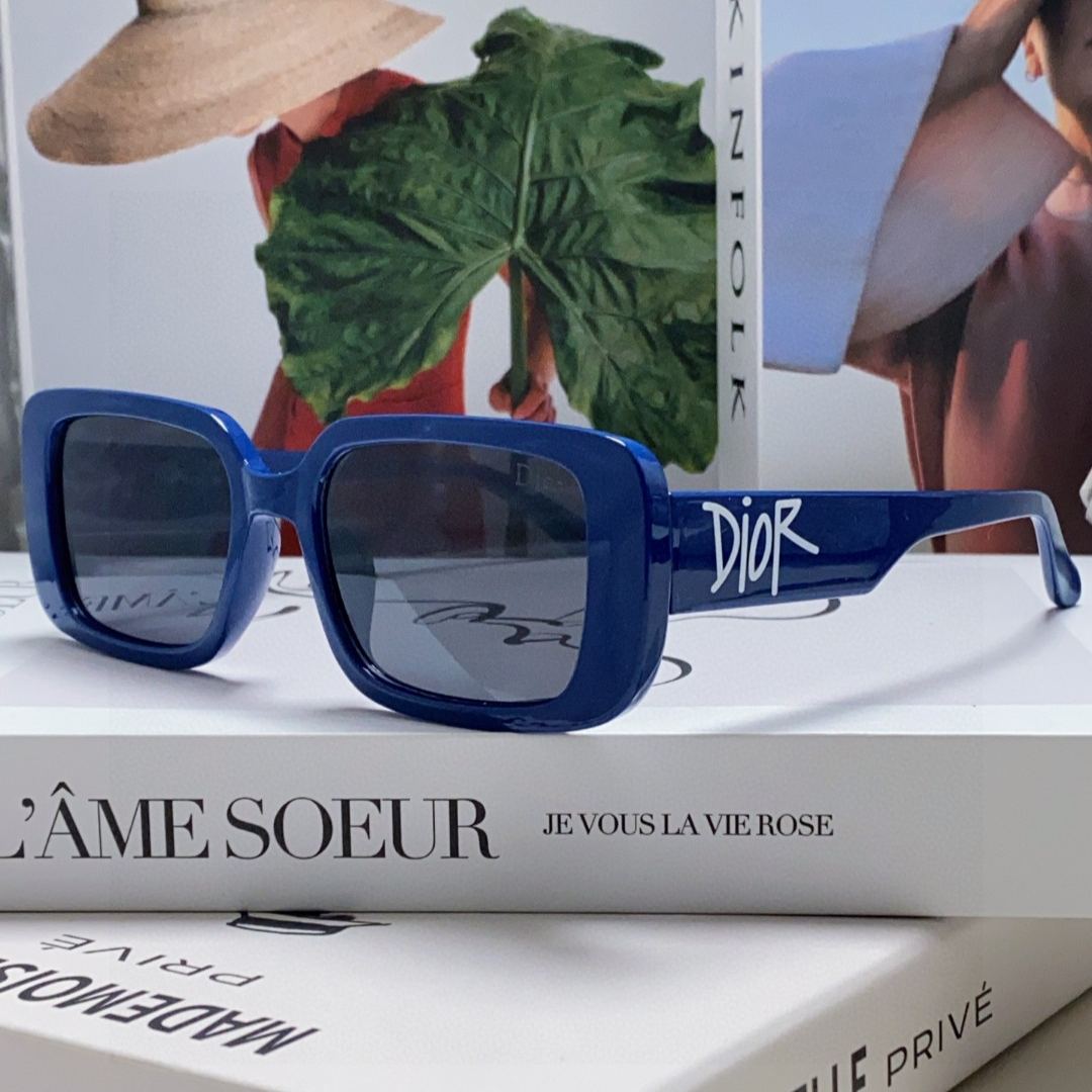 2024 Dior Sunglass · ディオール サングラス