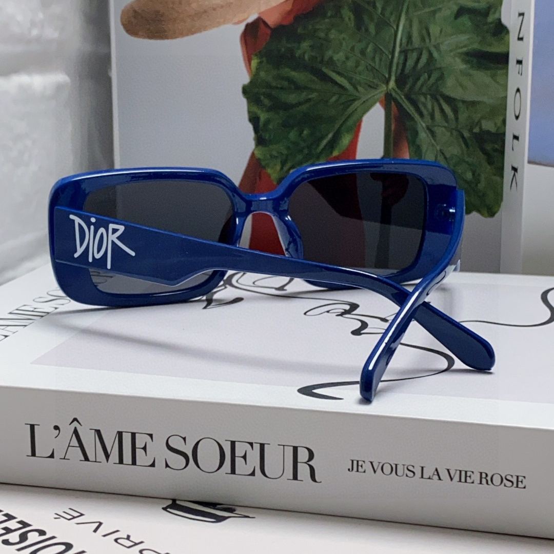 2024 Dior Sunglass · ディオール サングラス