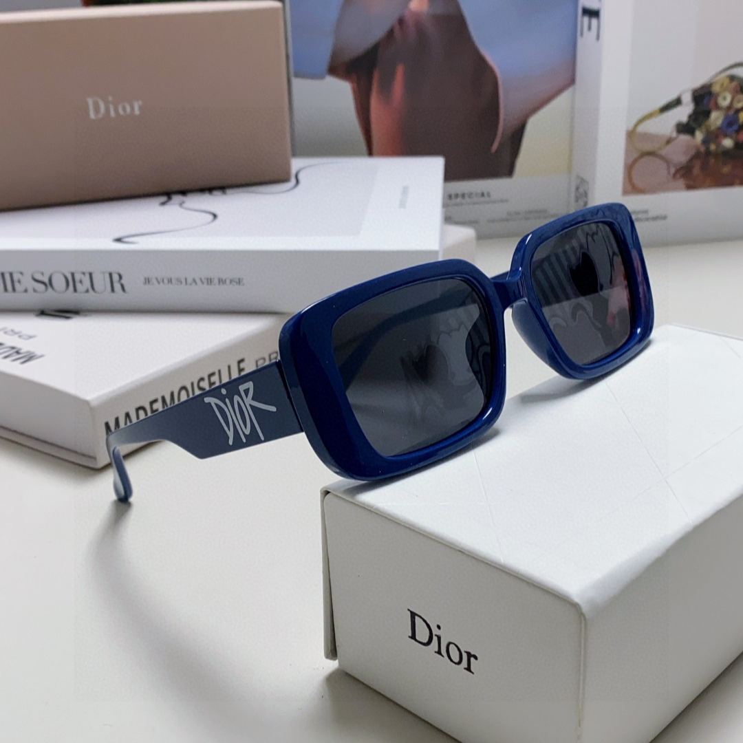 2024 Dior Sunglass · ディオール サングラス