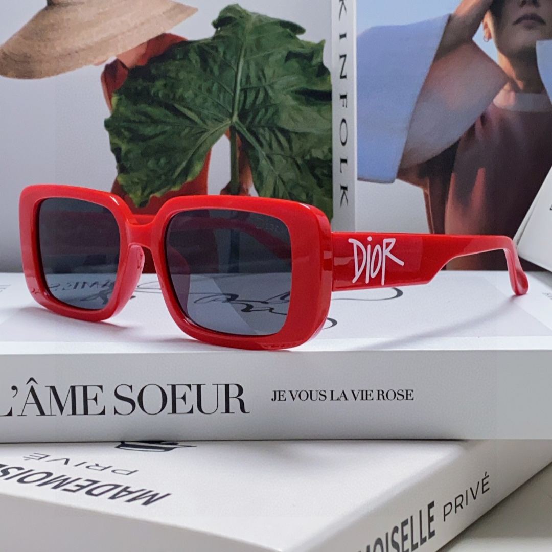 2024 Dior Sunglass · ディオール サングラス