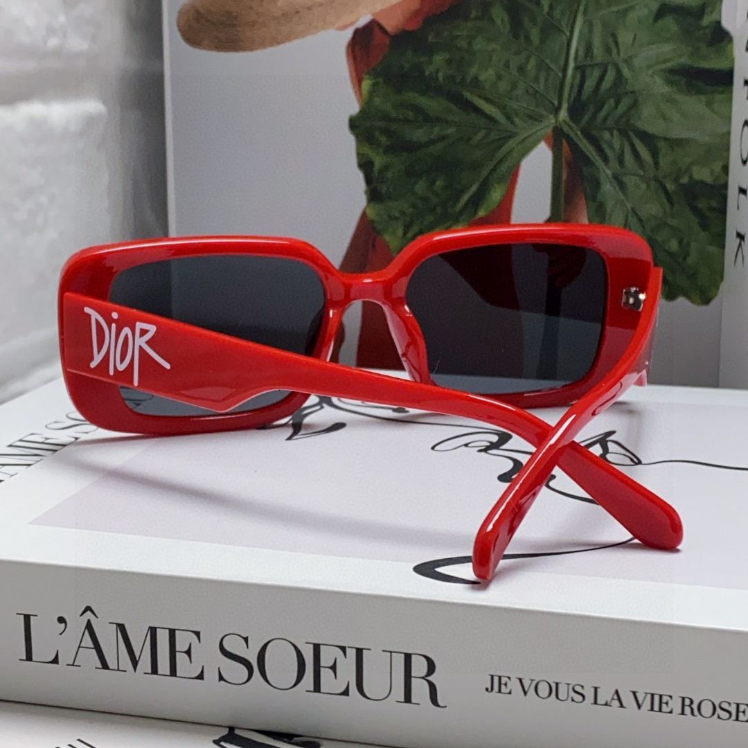 2024 Dior Sunglass · ディオール サングラス