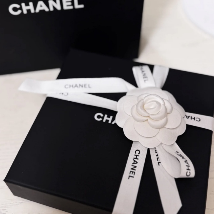 小ぶりなCCロゴが上品♪【CHANEL】希少 CCマークネックレス