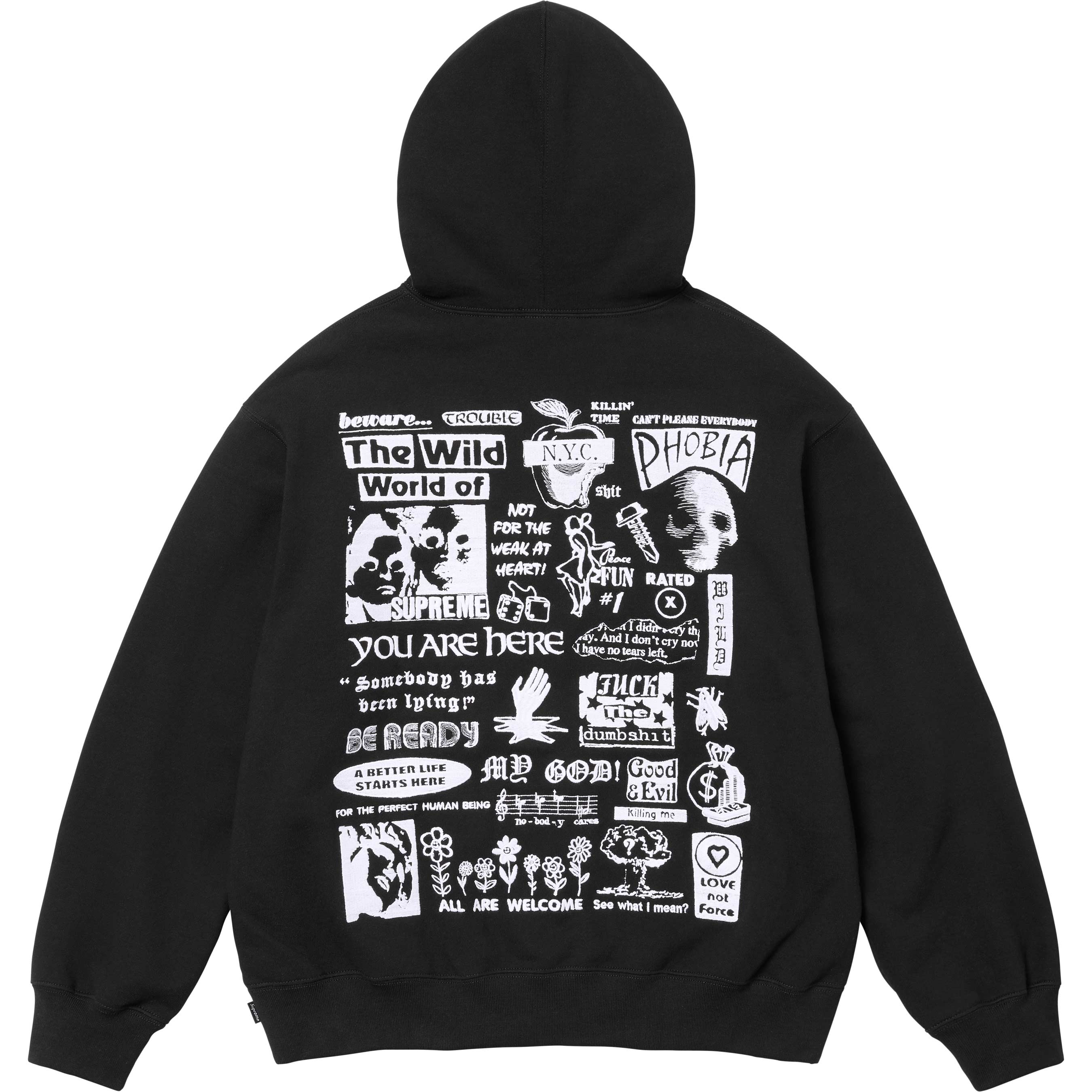 Wild Embroidered Hooded Sweatshirt