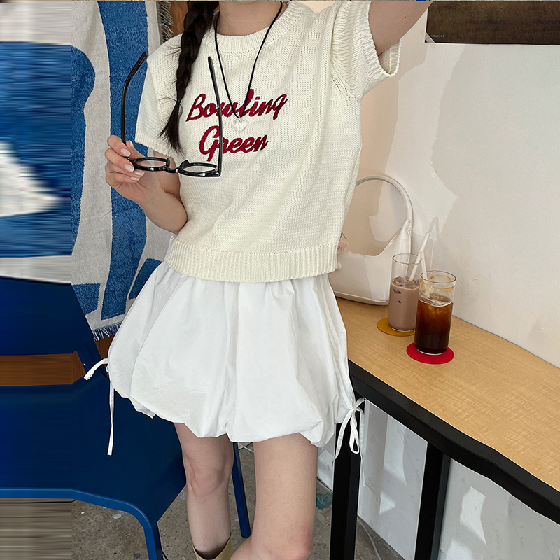 韓系百搭重工刺繡薄款短袖針織衫(2色)