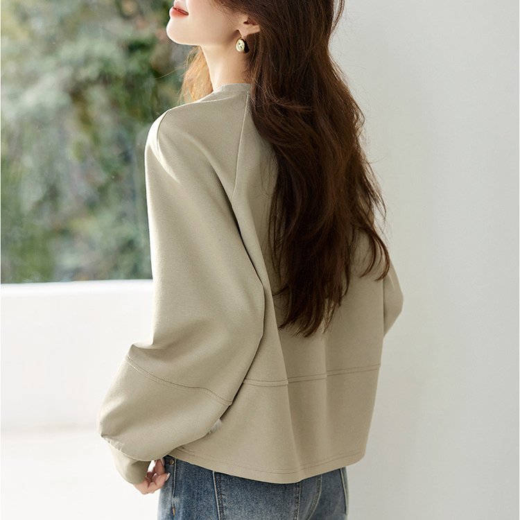 字母刺綉分割剪裁休閒衛衣