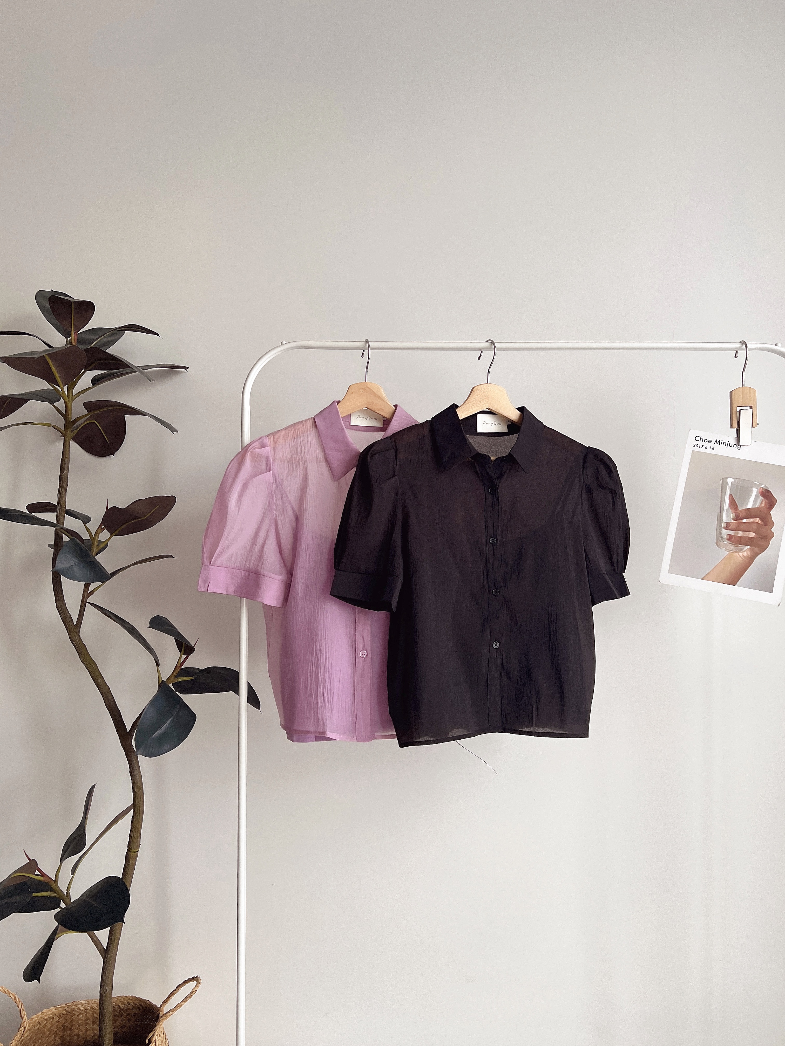 T72039 RILEY SHEER ELEGANCE SHIRT