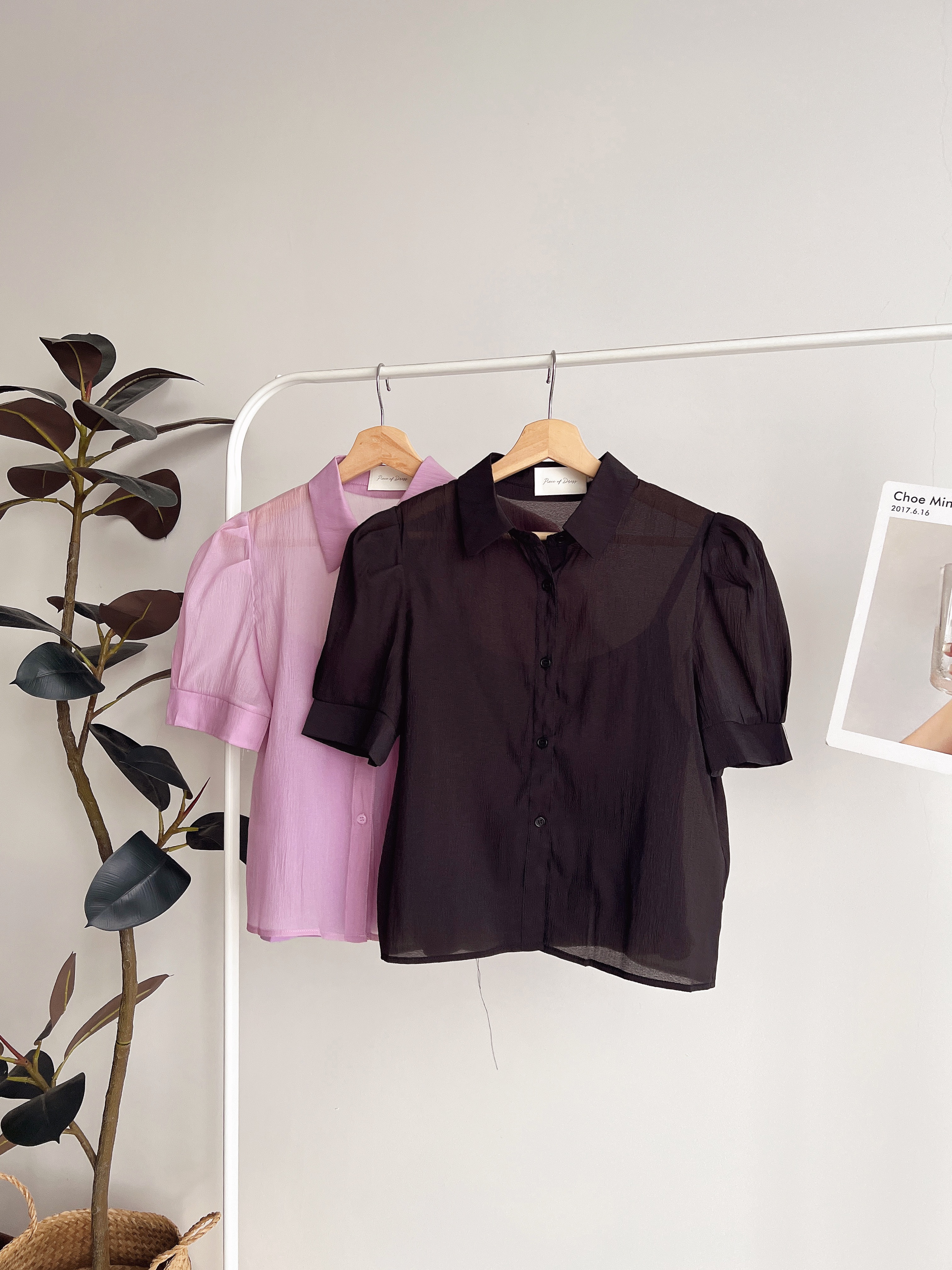 T72039 RILEY SHEER ELEGANCE SHIRT