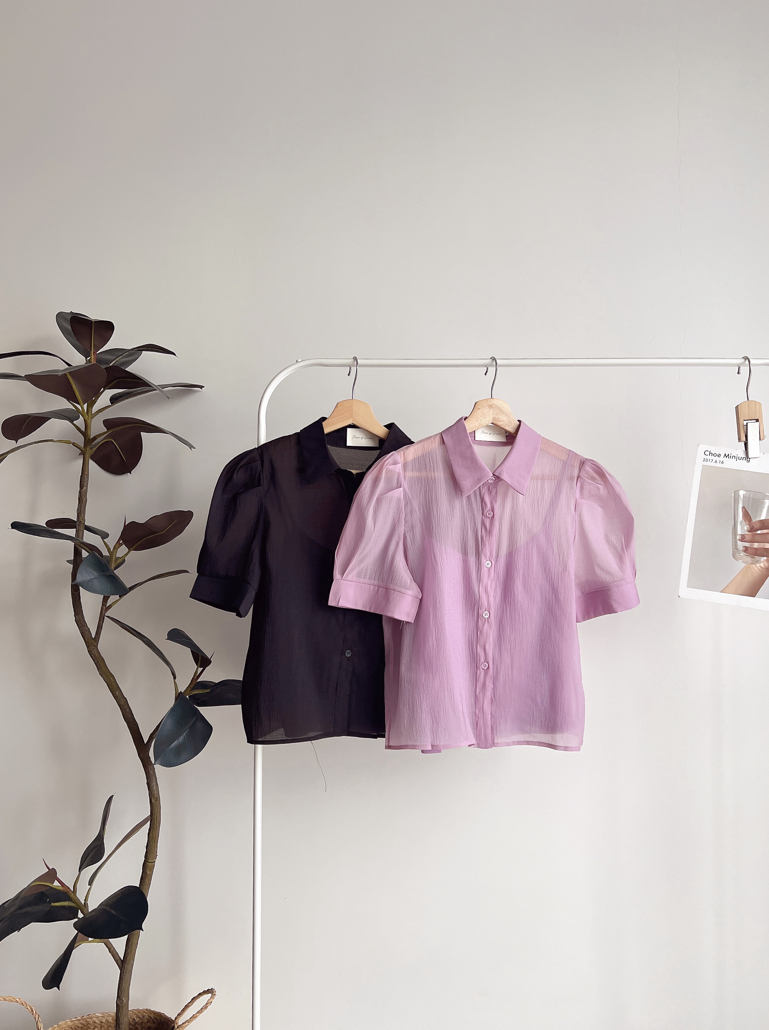 T72039 RILEY SHEER ELEGANCE SHIRT