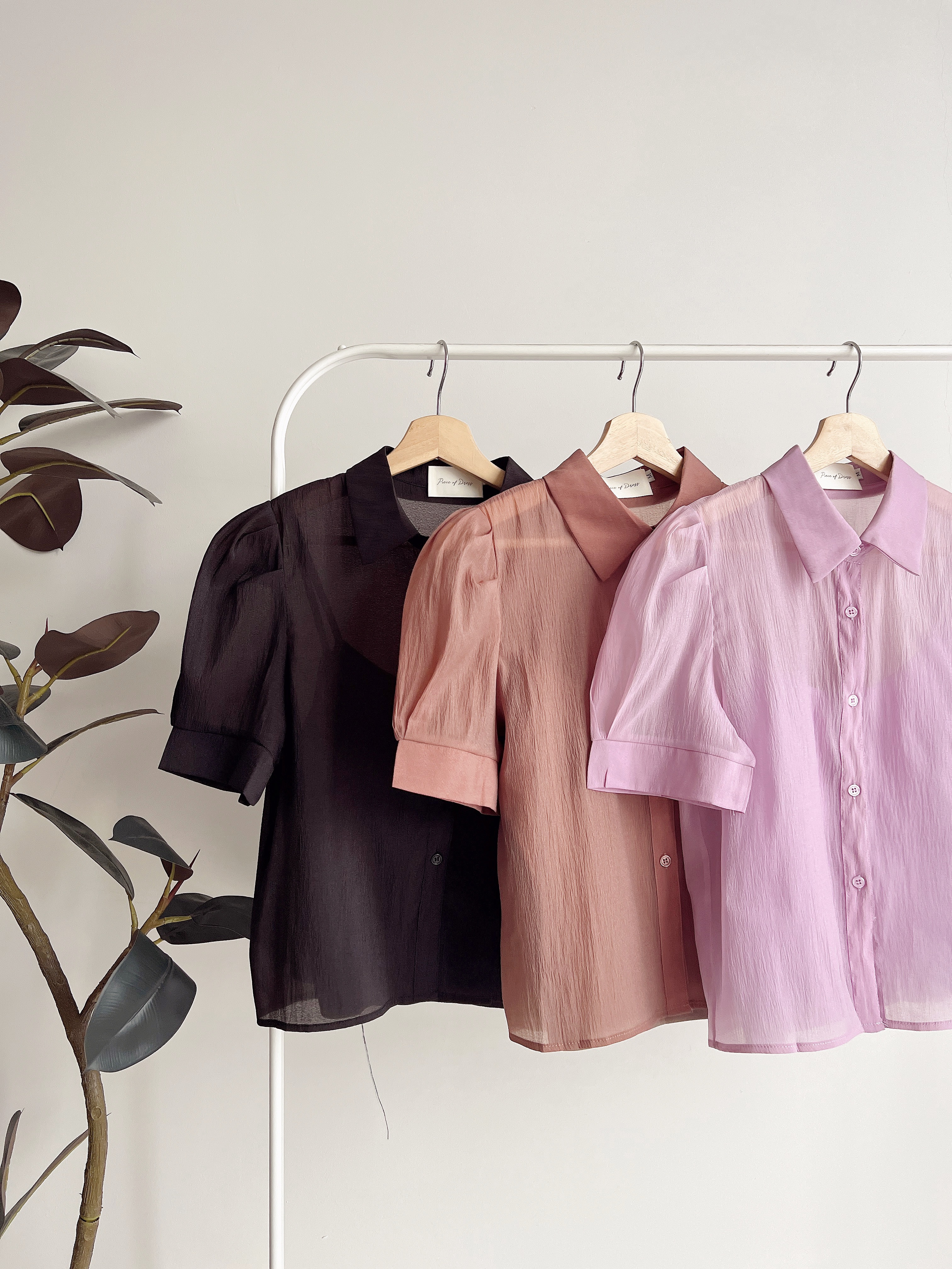 T72039 RILEY SHEER ELEGANCE SHIRT