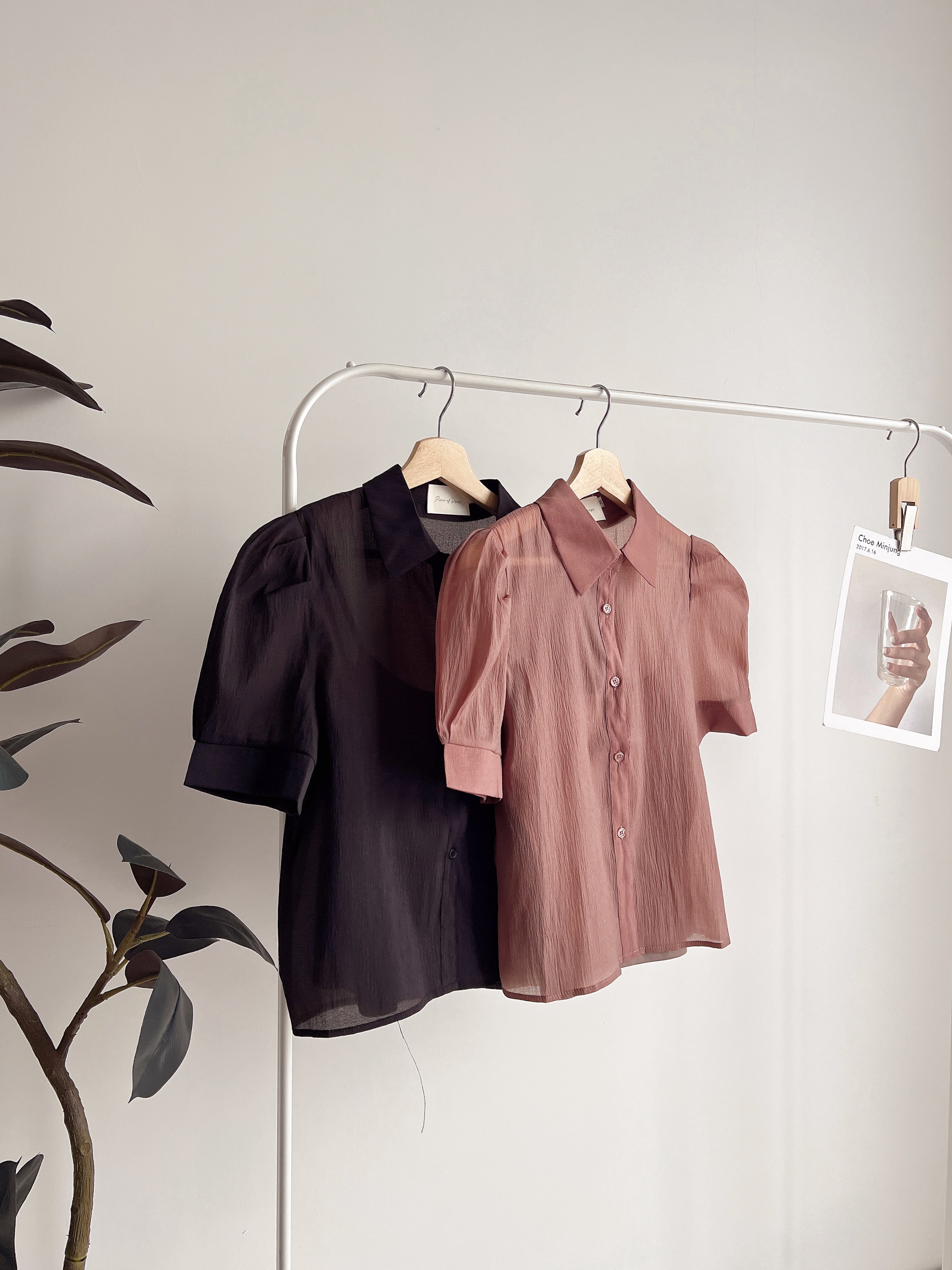 T72039 RILEY SHEER ELEGANCE SHIRT