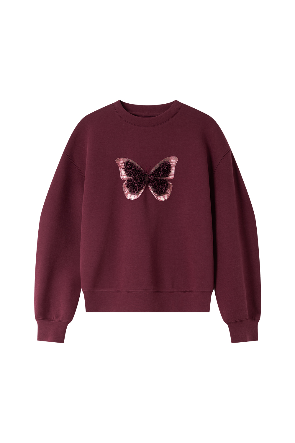 Butterfly Embellished Sweatshirt