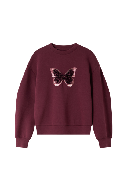Butterfly Embellished Sweatshirt