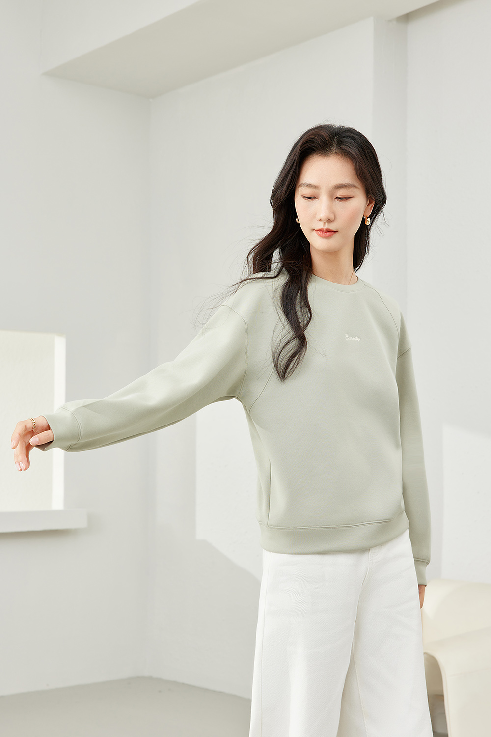 Premium Crew Neck Sweatshirt-VIMLYSTORE