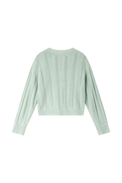 Small Hollow-out Knitwear