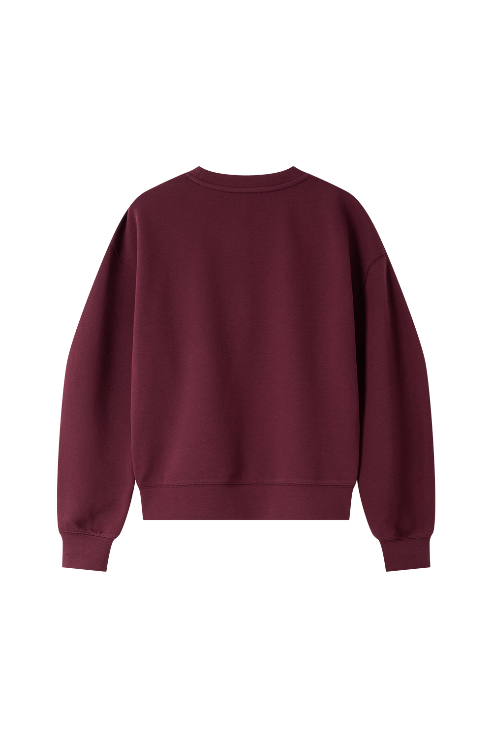 Butterfly Embellished Sweatshirt