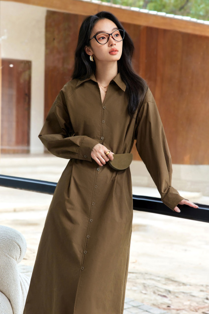 Literary Retro Shirt Dress