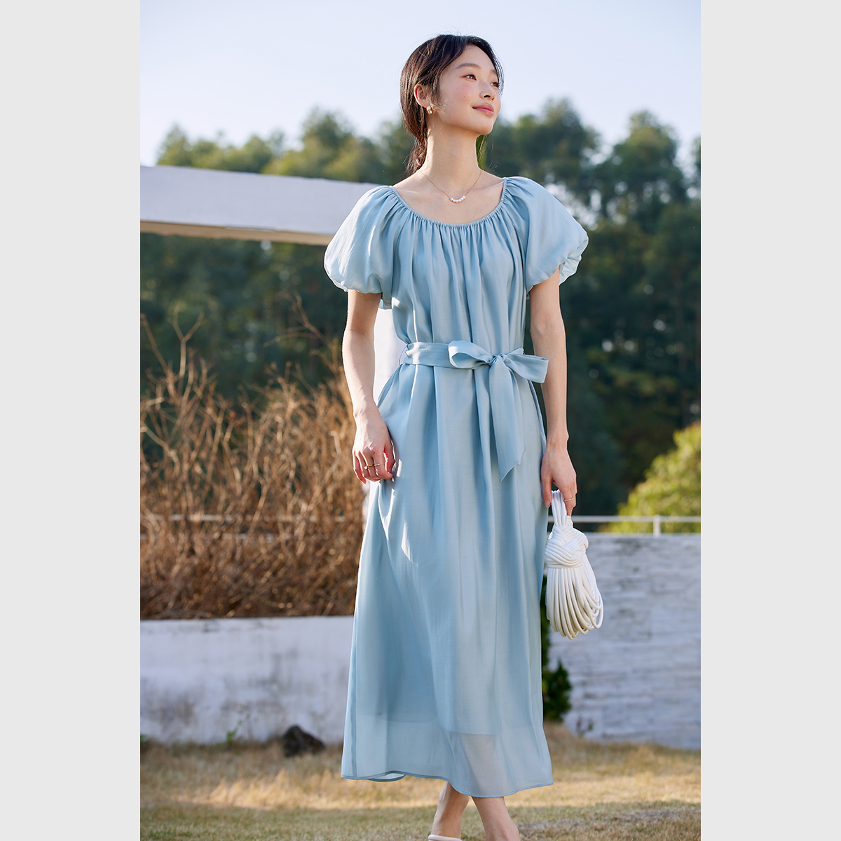 Elegant Puff Sleeve Dress