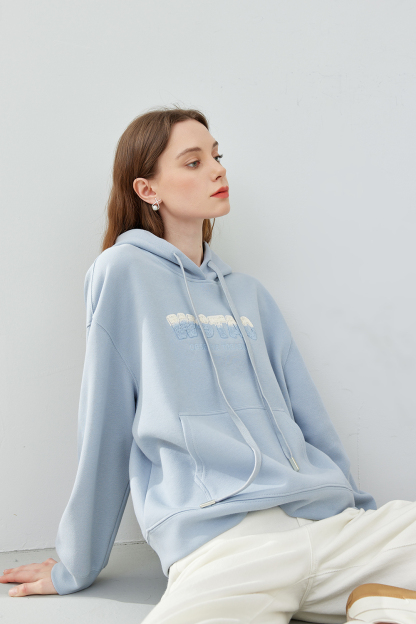 hooded embroidered sweatshirt