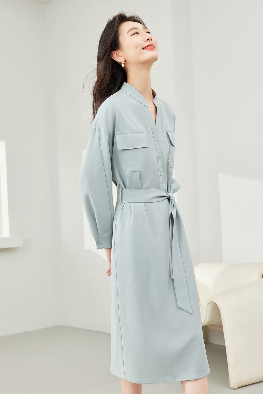 Business Stand Collar Dress