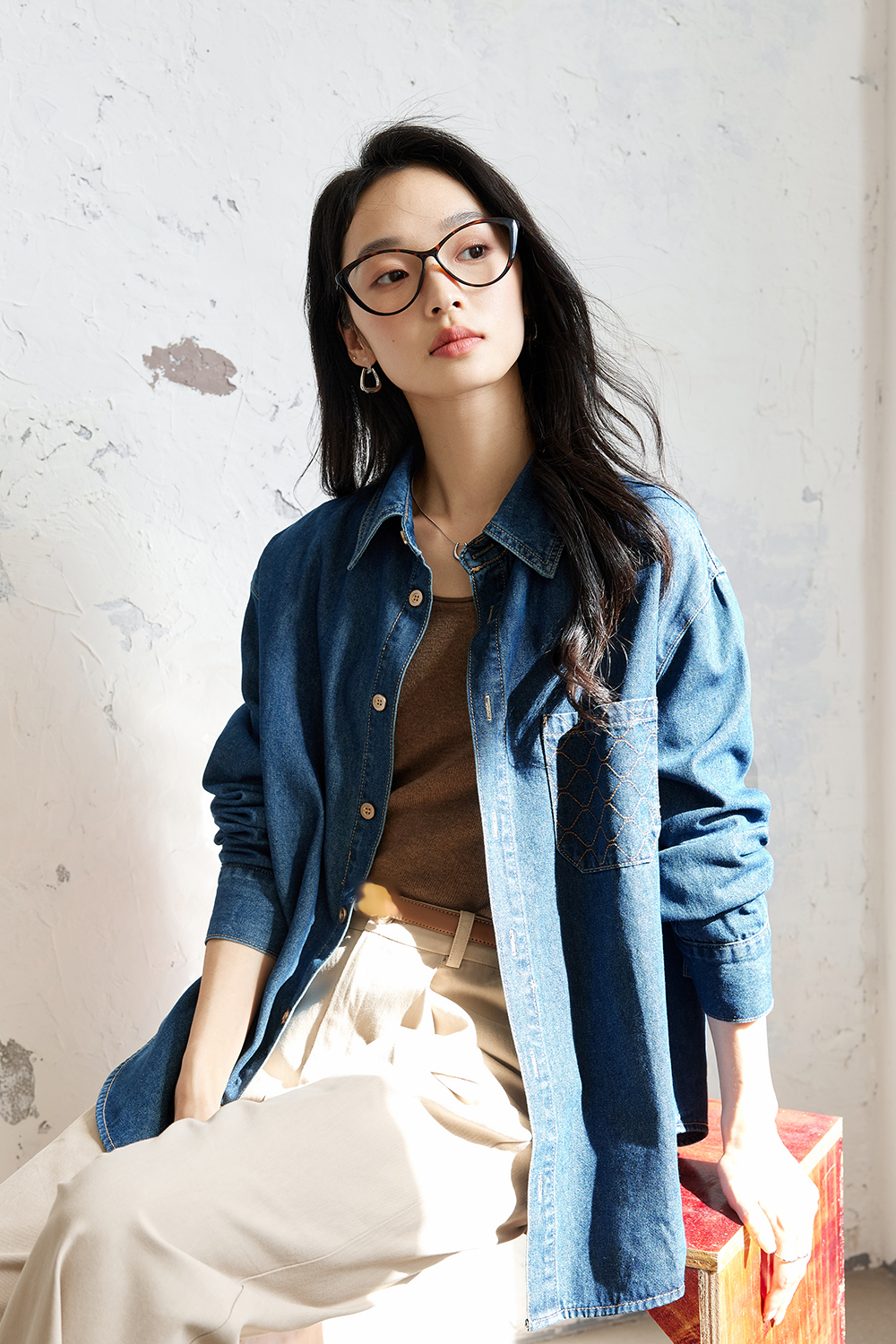 French Embroidered Denim Shirt