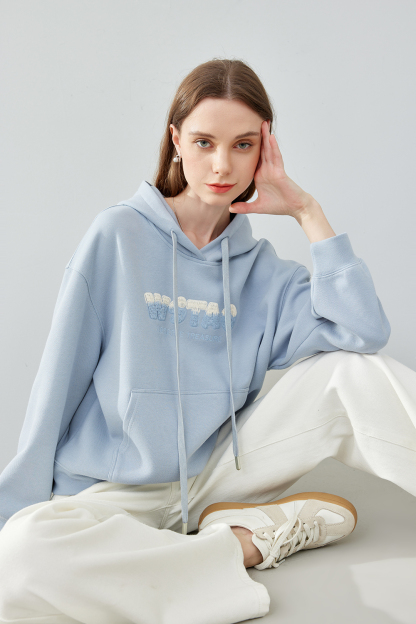 hooded embroidered sweatshirt
