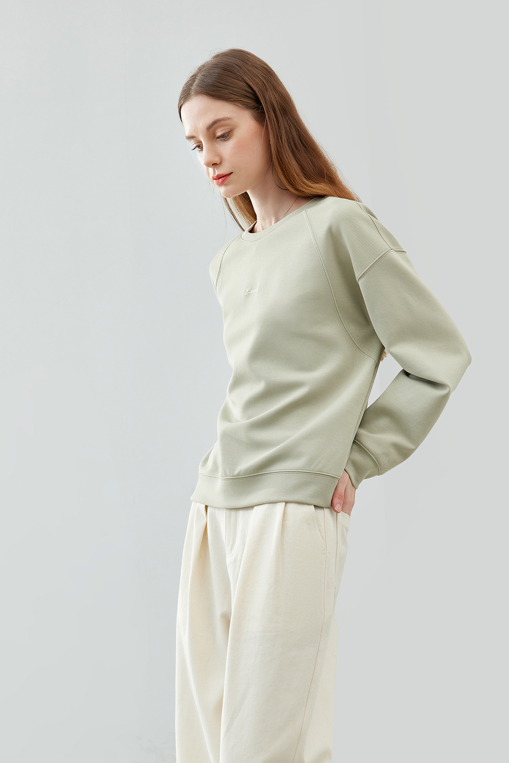 Premium Crew Neck Sweatshirt-VIMLYSTORE