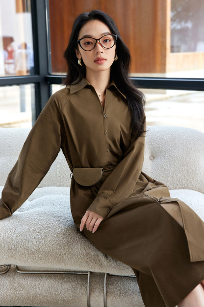 Literary Retro Shirt Dress