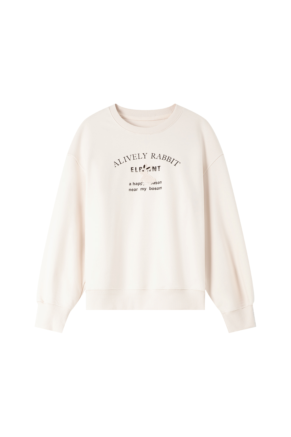Rabbit Embroidered Print Sweatshirt