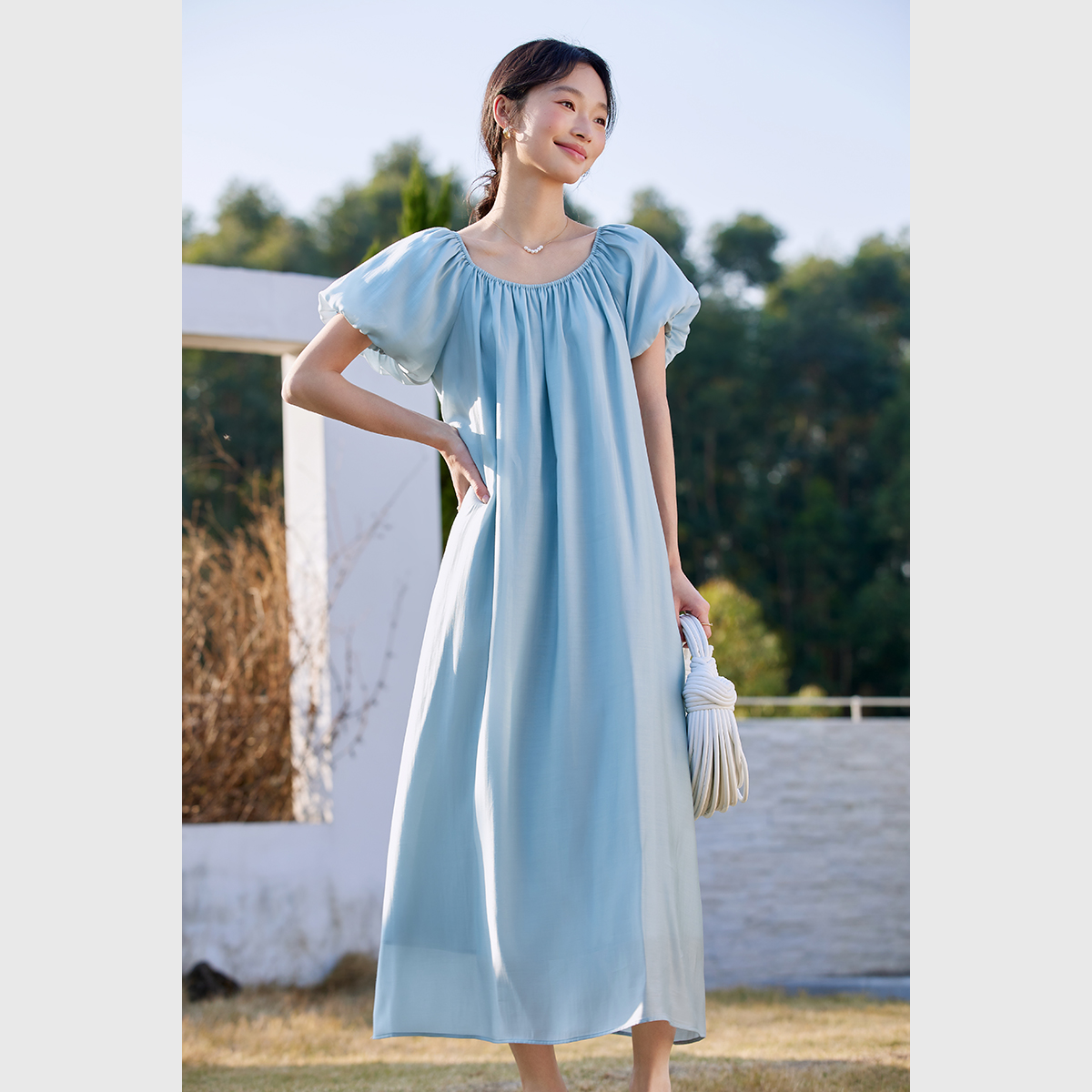 Elegant Puff Sleeve Dress